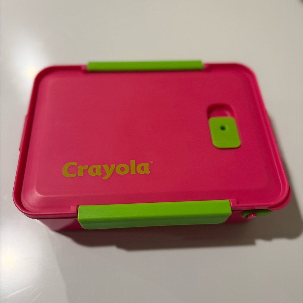 Crayola Vibrant Pink and Green Art Box